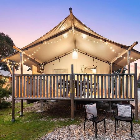 Scamander Sanctuary Holiday Park Exterior photo